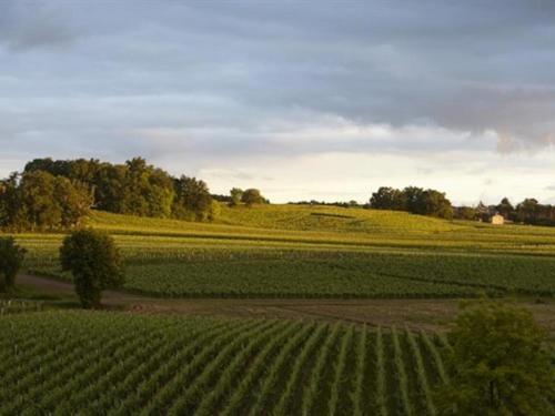 Chateau La Rose Perriere Lussac  Екстериор снимка