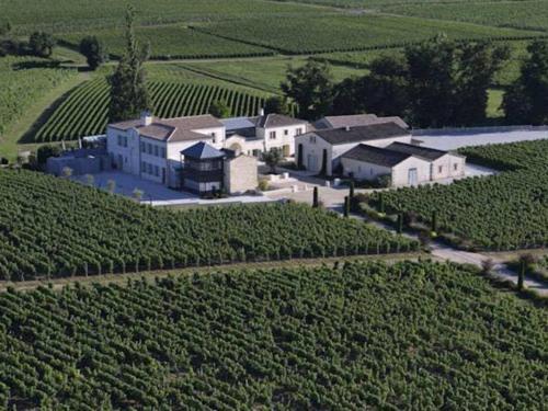Chateau La Rose Perriere Lussac  Екстериор снимка